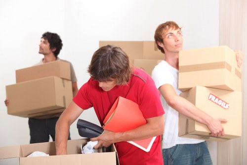 Professional man with van removal support for Bromley customers